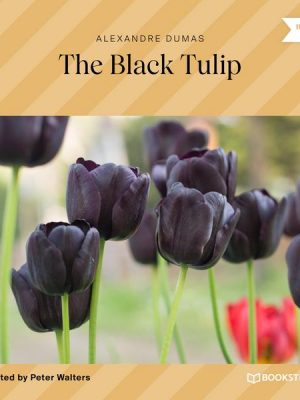 The Black Tulip