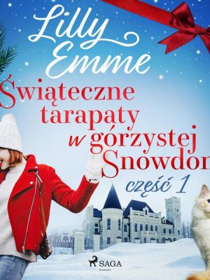 Świąteczne tarapaty w górzystej Snowdonii - część 1