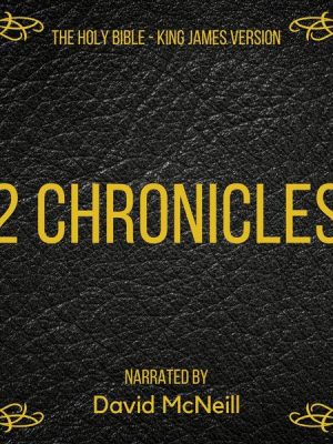 The Holy Bible - 2 Chronicles