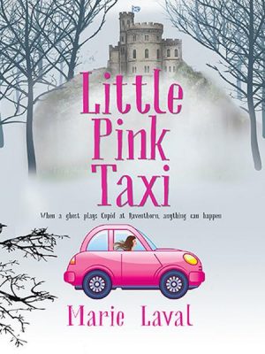 Little Pink Taxi