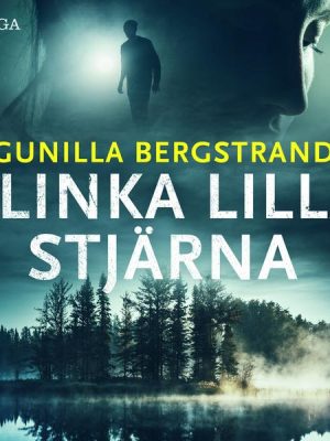 Blinka lilla stjärna