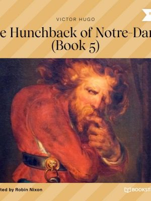 The Hunchback of Notre-Dame - Book 5