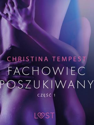 Fachowiec poszukiwany część 1 – opowiadanie erotyczne