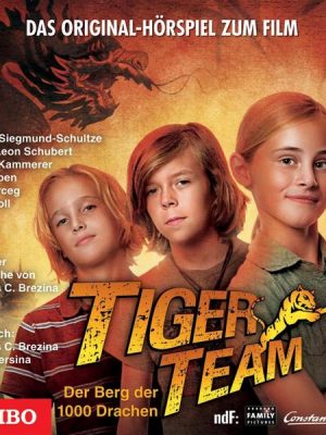 Tiger-Team: Der Berg der 1000 Drachen