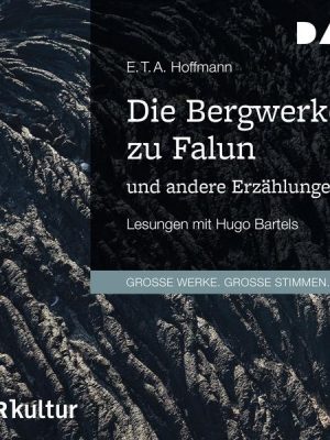 Die Bergwerke zu Falun und andere Erzählungen