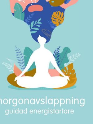 Morgonavslappning: Guidad energistarter