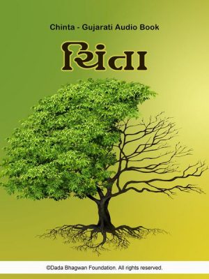 Chinta - Gujarati Audio Book