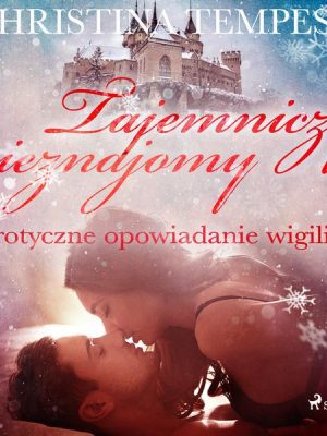 Tajemniczy nieznajomy - erotyczne opowiadanie wigilijne