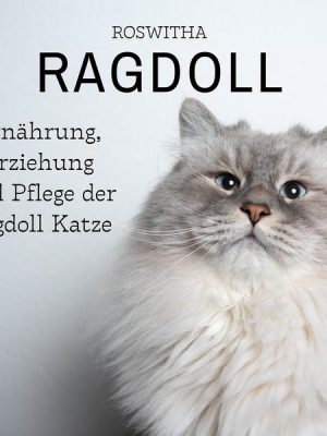 Ragdoll