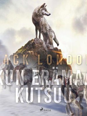 Kun erämaa kutsuu