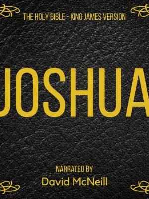 The Holy Bible - Joshua