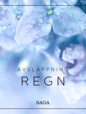 Avslappning - Regn