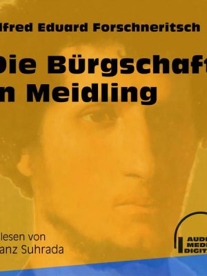 Die Bürgschaft in Meidling