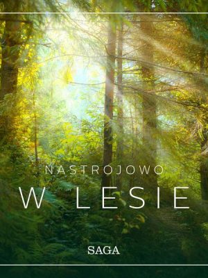 Nastrojowo - W lesie