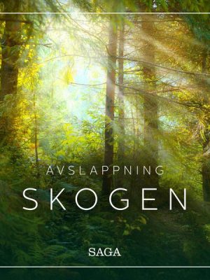 Avslappning - Skogen