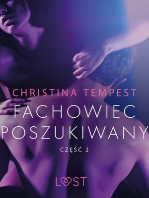 Fachowiec poszukiwany część 2 – opowiadanie erotyczne