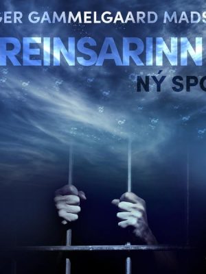 Hreinsarinn 4: Ný spor