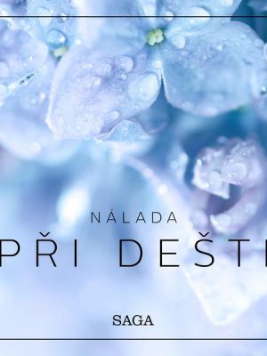 Nálada – Při dešti