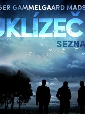 Uklízeč 1: Seznam