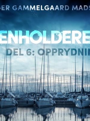 Renholderen 6: Opprydning