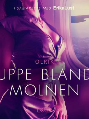 Uppe bland molnen - erotisk novell