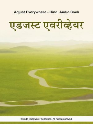 Adjust Everywhere - Hindi Audio Book