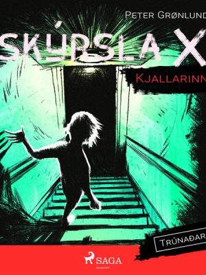 Skýrsla X - Kjallarinn