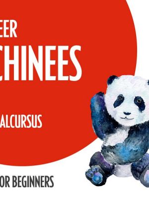 Leer Chinees (taalcursus voor beginners)