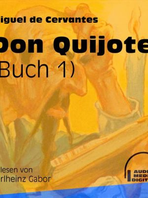 Don Quijote Buch 1