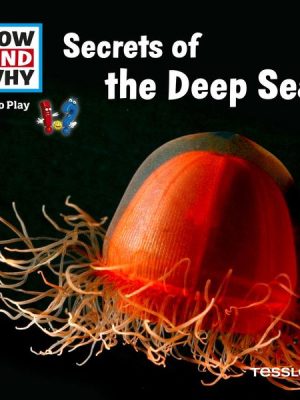 HOW AND WHY Audio Play Secrets Of The Deep Sea