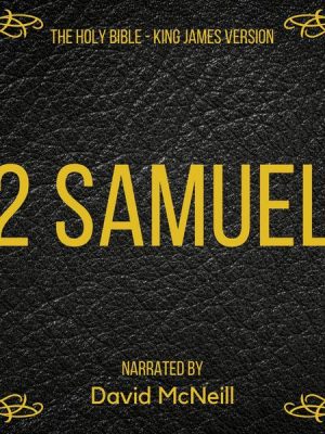 The Holy Bible - 2 Samuel