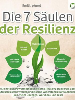 Die 7 Säulen der Resilienz: Wie Sie mit den Powermethoden eiserne Resilienz trainieren