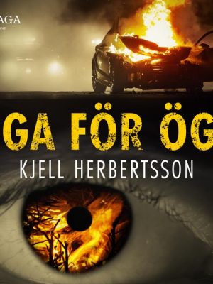 Öga för öga