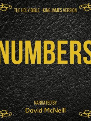 The Holy Bible - Numbers