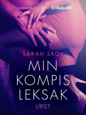 Min kompis leksak - erotisk novell