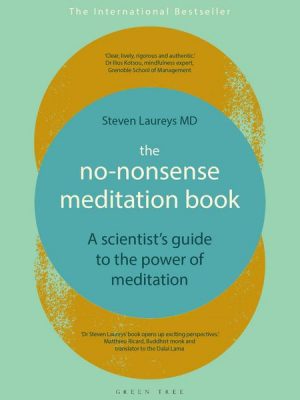 The No-Nonsense Meditation Book