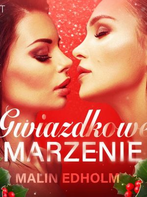 Gwiazdkowe marzenie - opowiadanie erotyczne