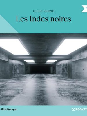 Les Indes noires