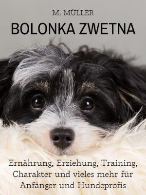 Bolonka Zwetna