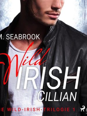 Wild Irish - Cillian: Eine Rockstar-Romance (Die Wild-Irish-Trilogie 1)