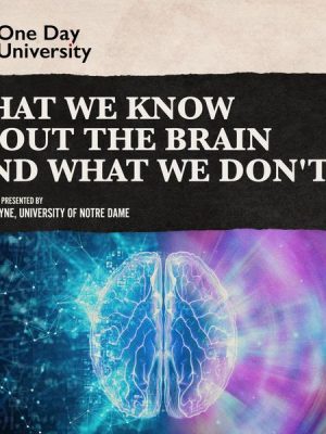 What We Know About the Brain (and What We Don't)