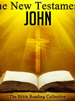 The New Testament: John