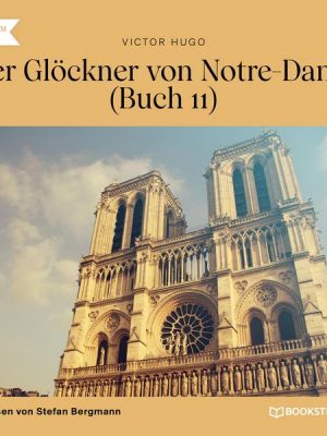 Der Glöckner von Notre-Dame Buch 11