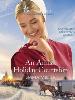 An Amish Holiday Courtship