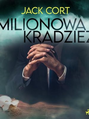 Milionowa kradzież