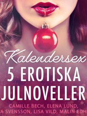 Kalendersex - 5 erotiska julnoveller