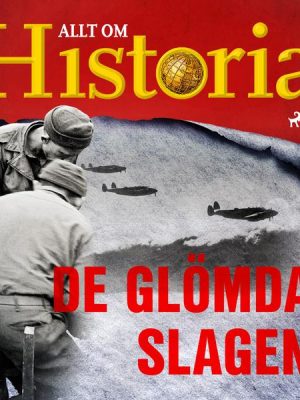 De glömda slagen