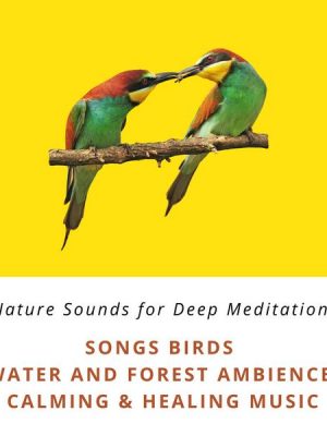 Nature Sounds for Deep Meditation: Song Birds