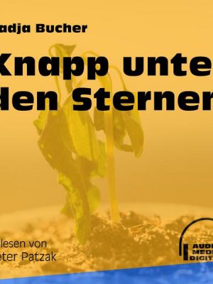 Knapp unter den Sternen