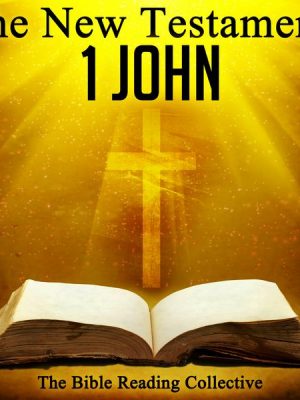 The New Testament: 1 John